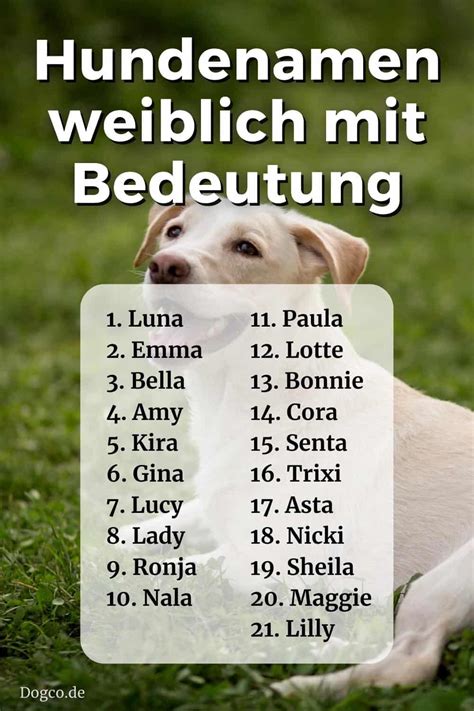 mädchennamen für hunde|weibliche hundenamen für mädchen.